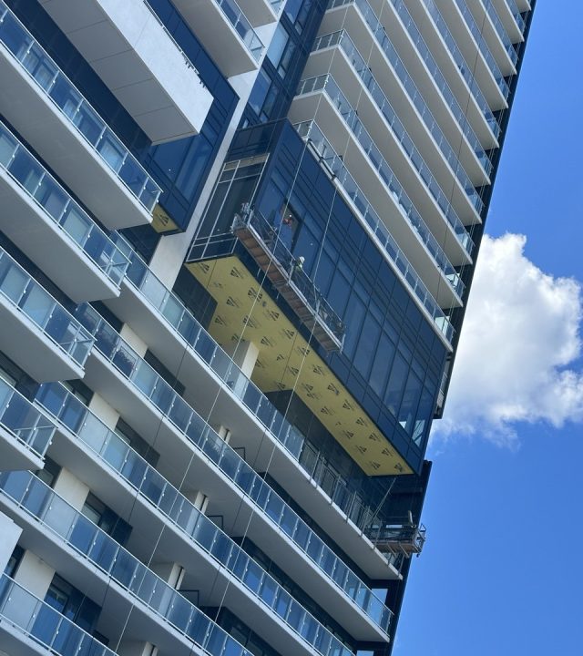 photo 5775878664431455305 y